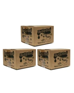 Bee My Honey Pure Granulated Honey, 3 Boxes (300 Packets Ea.)