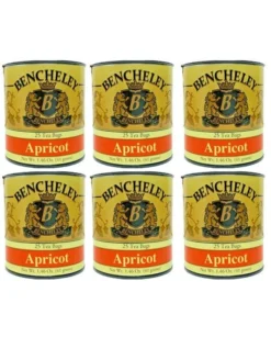 Bencheley Tea Bags, 6/25 Ct Apricot Tea